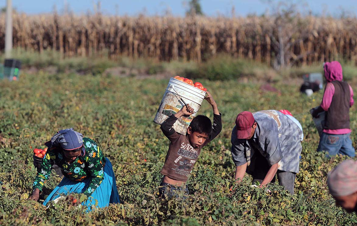 Jornaleros de Yurecuaro, Michoacán