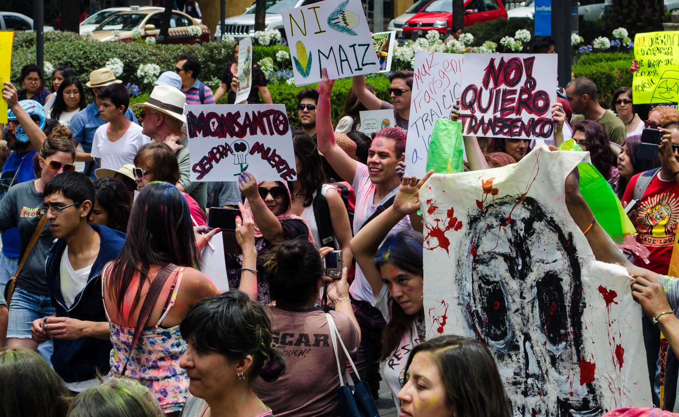 monsanto, gobierno mexicano no apoya a mayas, soya transgénica