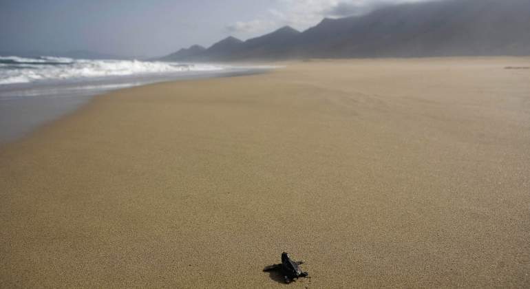 Se aleja el mar