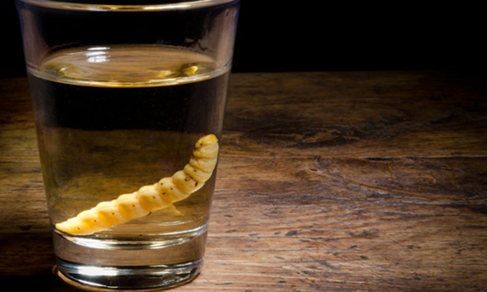 Mezcal