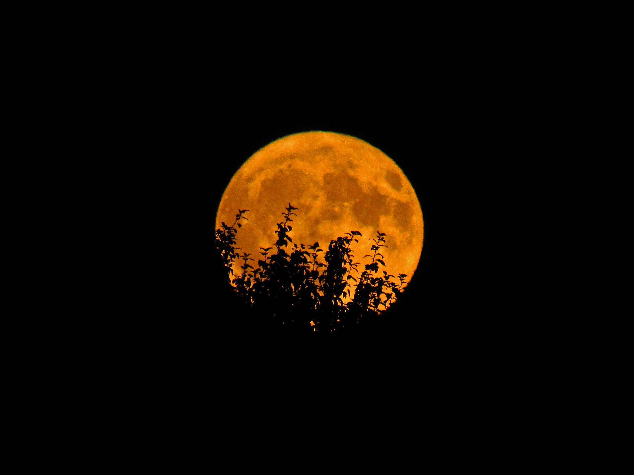 la luna se encoge por temblores