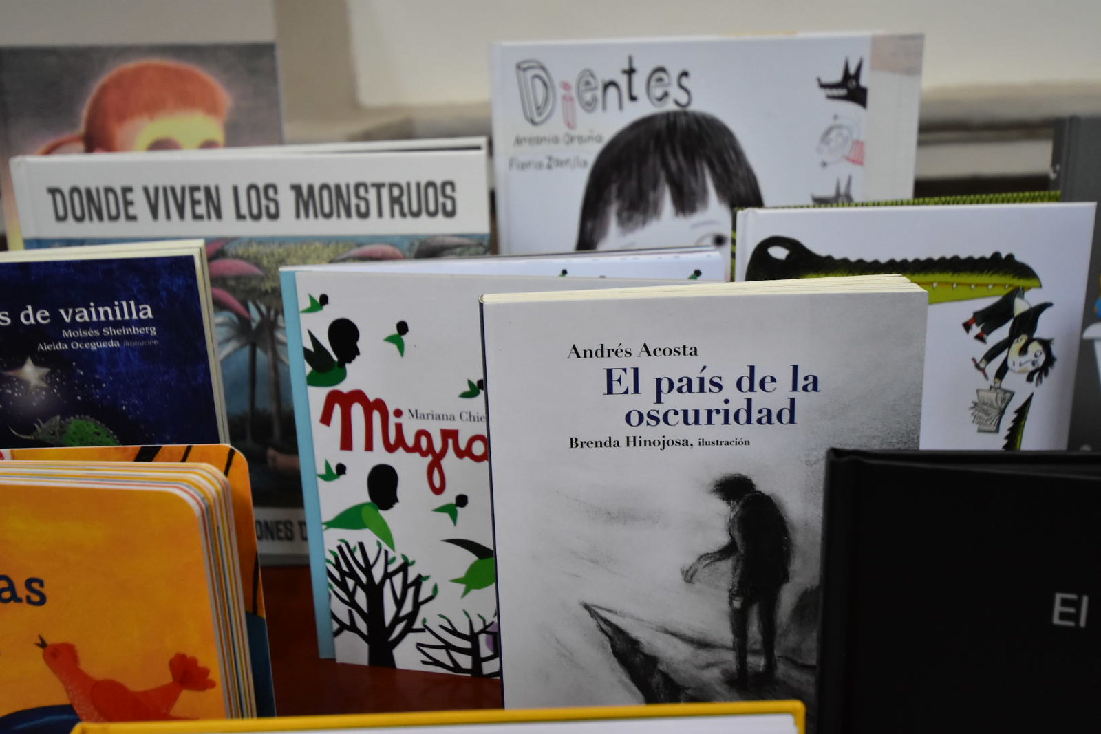 Biblioteca de Tlajomulco recibe libros infantiles