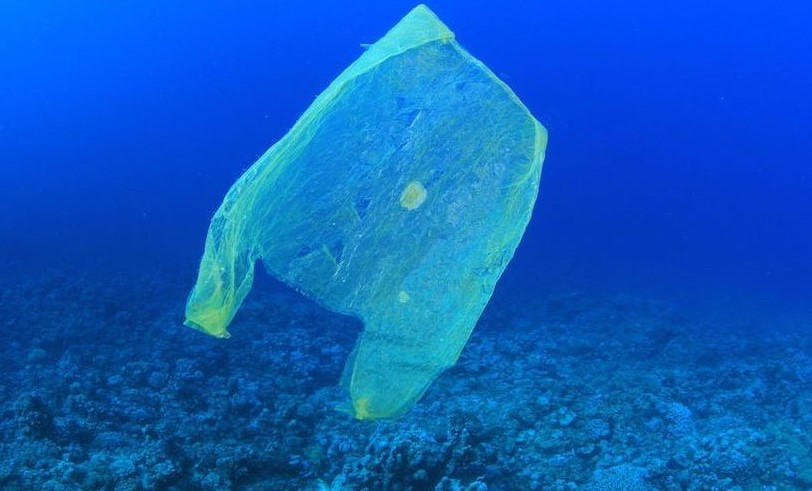 bolsas de plásticos