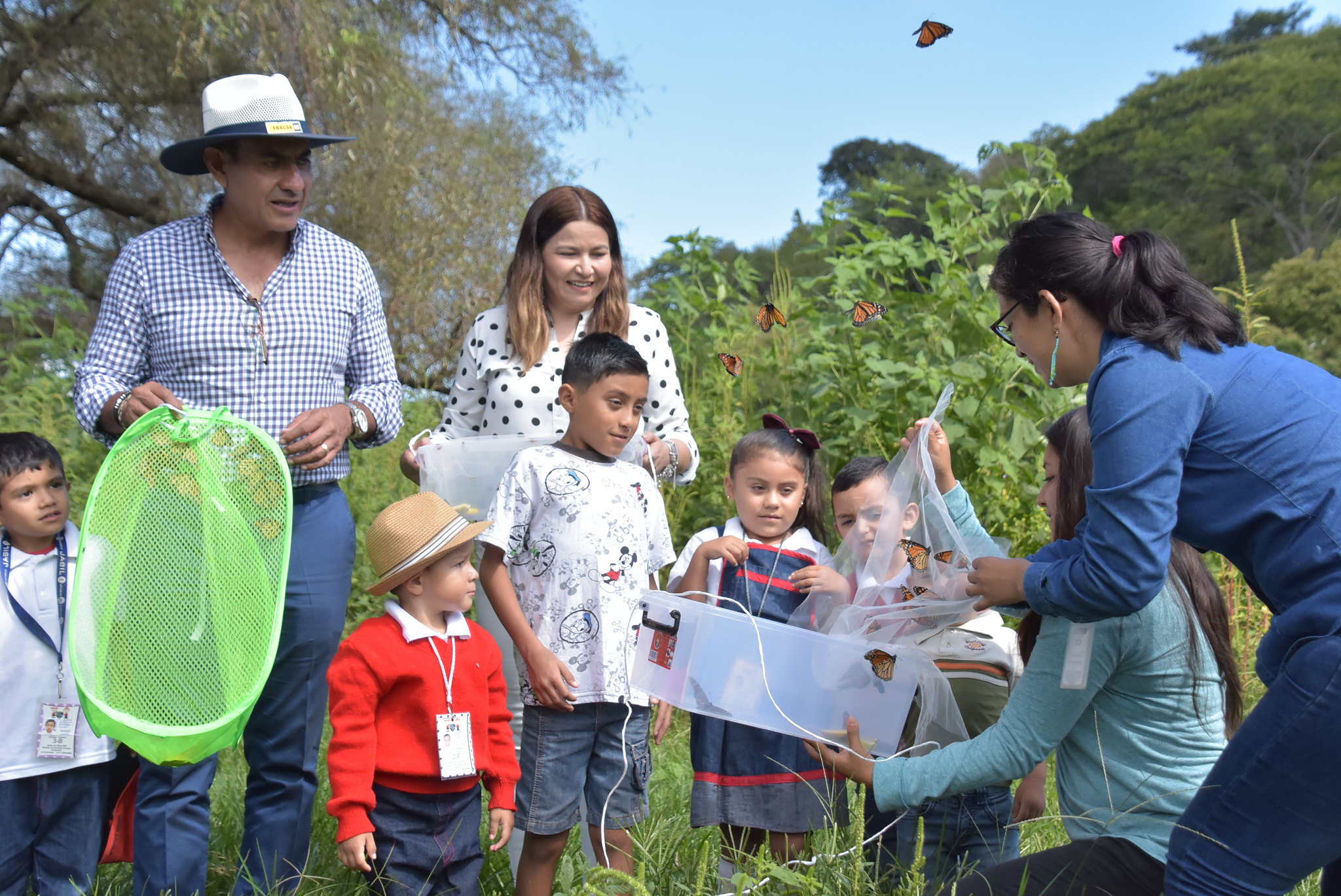 liberan mariposas en tlajomulco