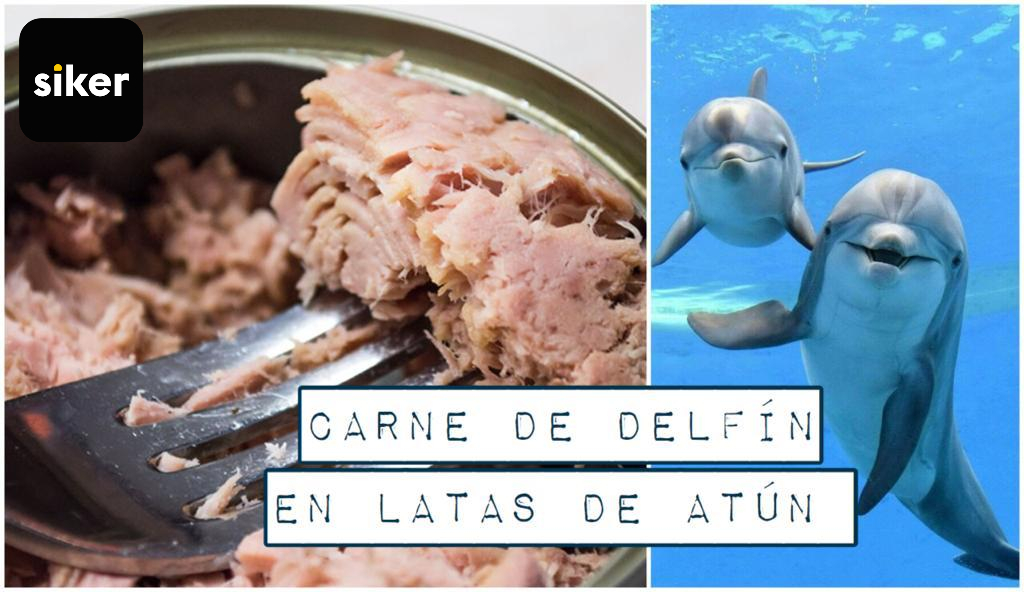 carne de delfín en latas de atún