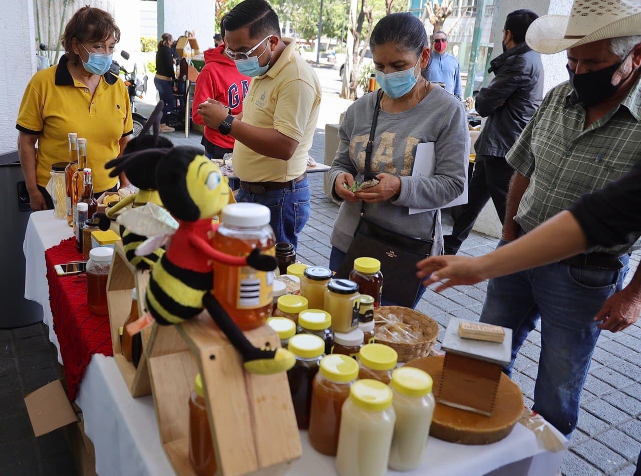 Jalisco líder en producción de miel, darán apoyos a productores