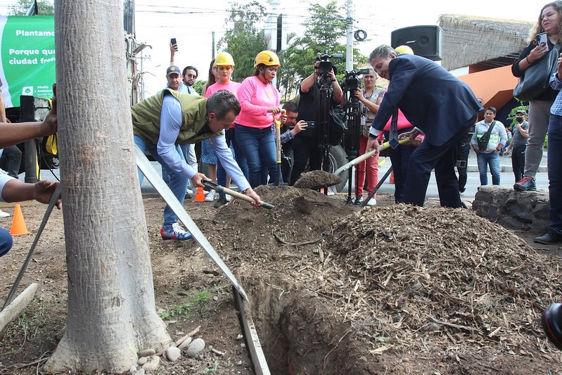 Zapopan y Guadalajara plantarán 28 mil nuevos árboles 