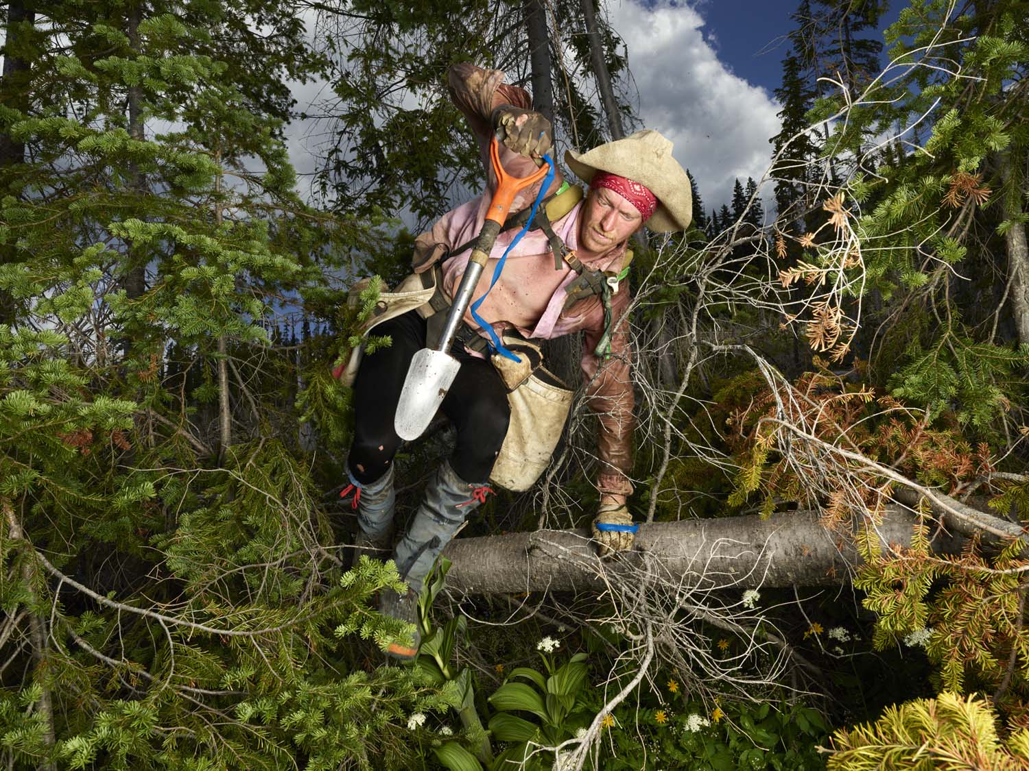 La fotoperiodista, Rita Leistner, realiza una inmersión total al mundo de los plantadores de árboles en zonas de reforestación del oeste canadiense.