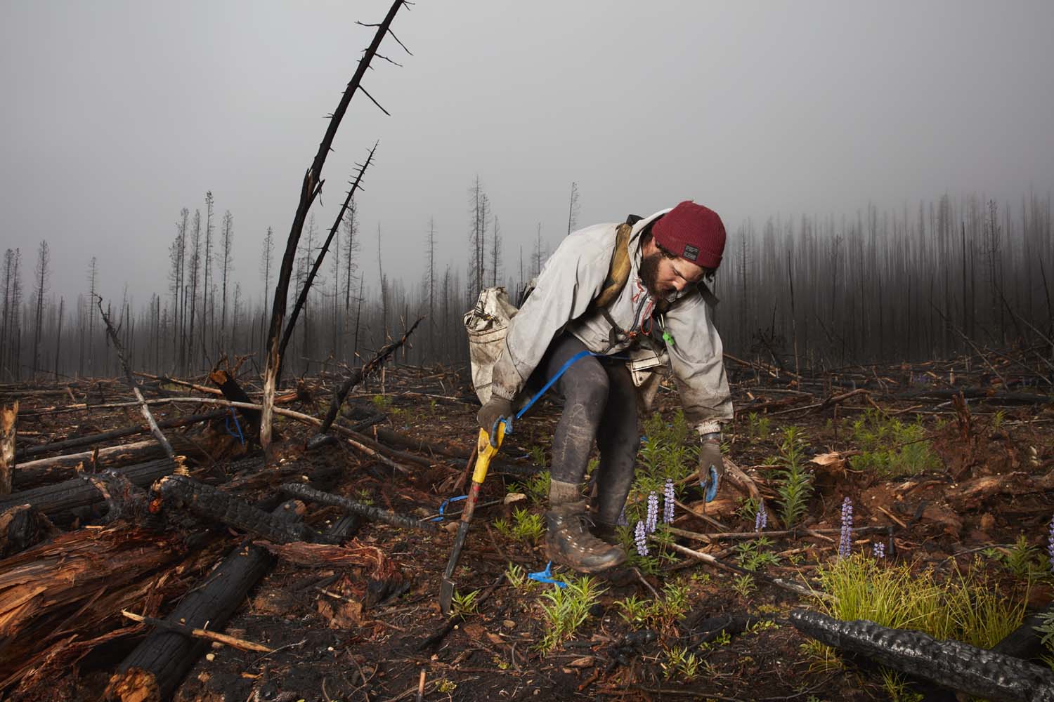 La fotoperiodista, Rita Leistner, realiza una inmersión total al mundo de los plantadores de árboles en zonas de reforestación del oeste canadiense (5)