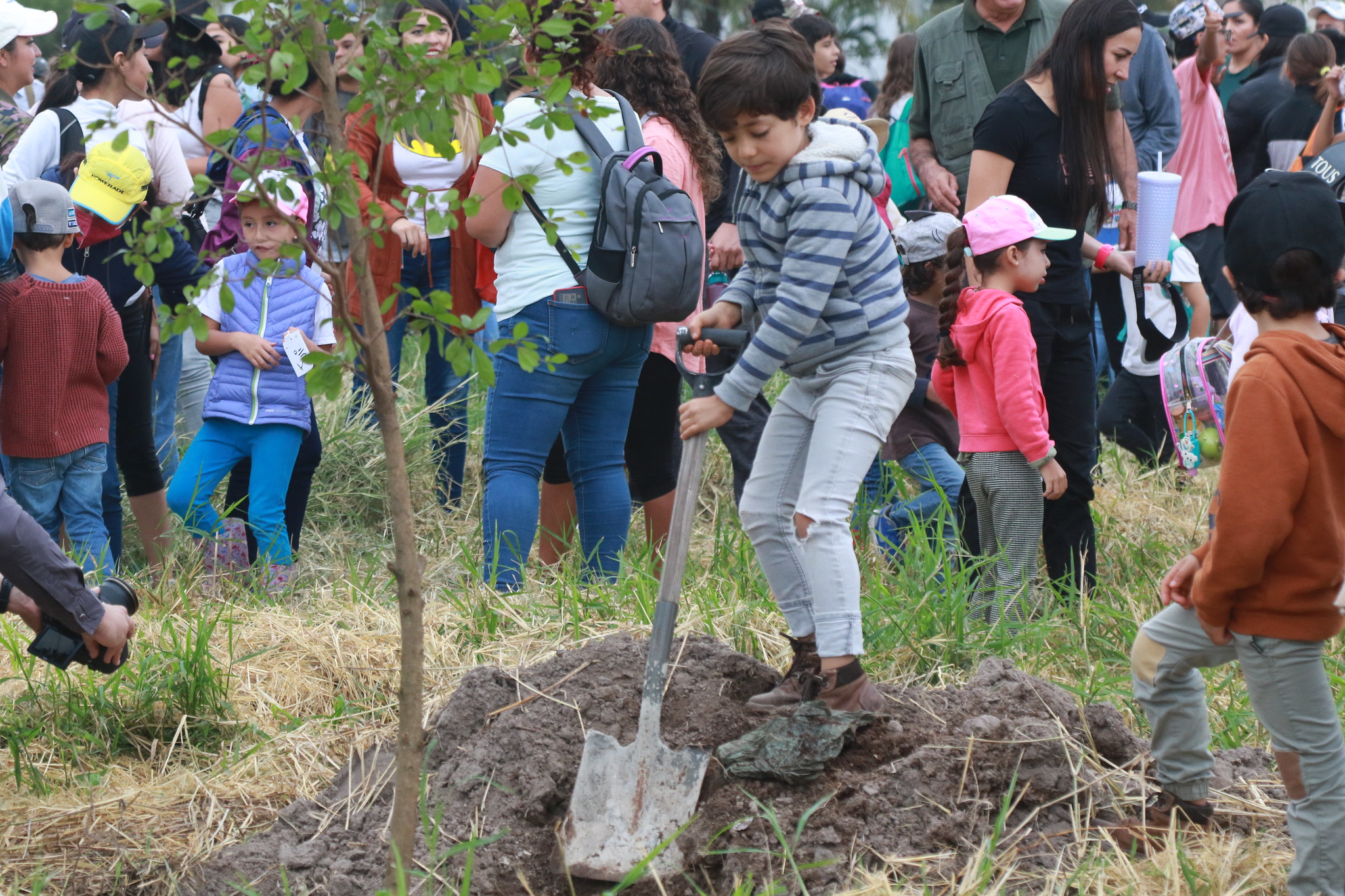 Tlajomulco alcanza meta ecológica; siembran más de 50 mil árboles
