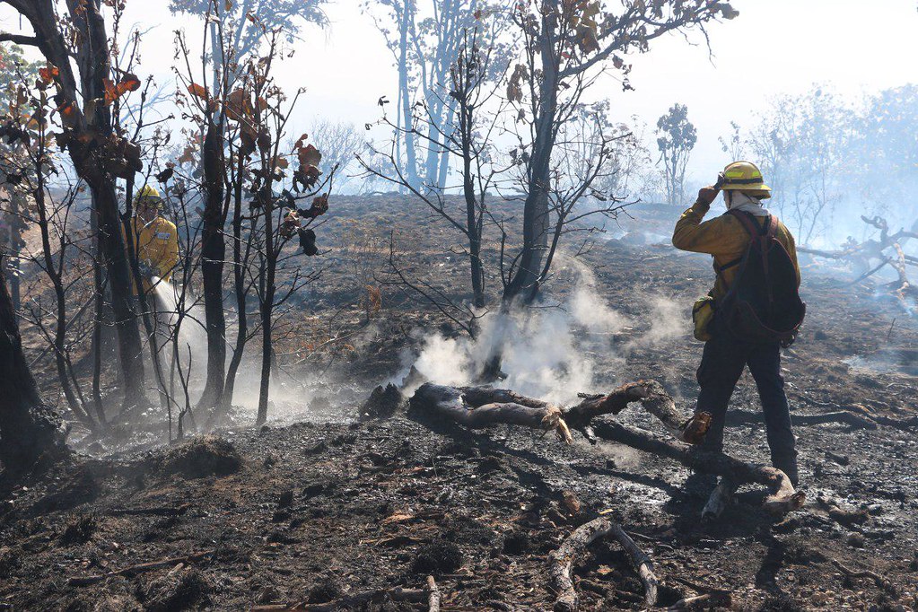 Vinculan a proceso a causantes de incendios forestales en Tlajomulco