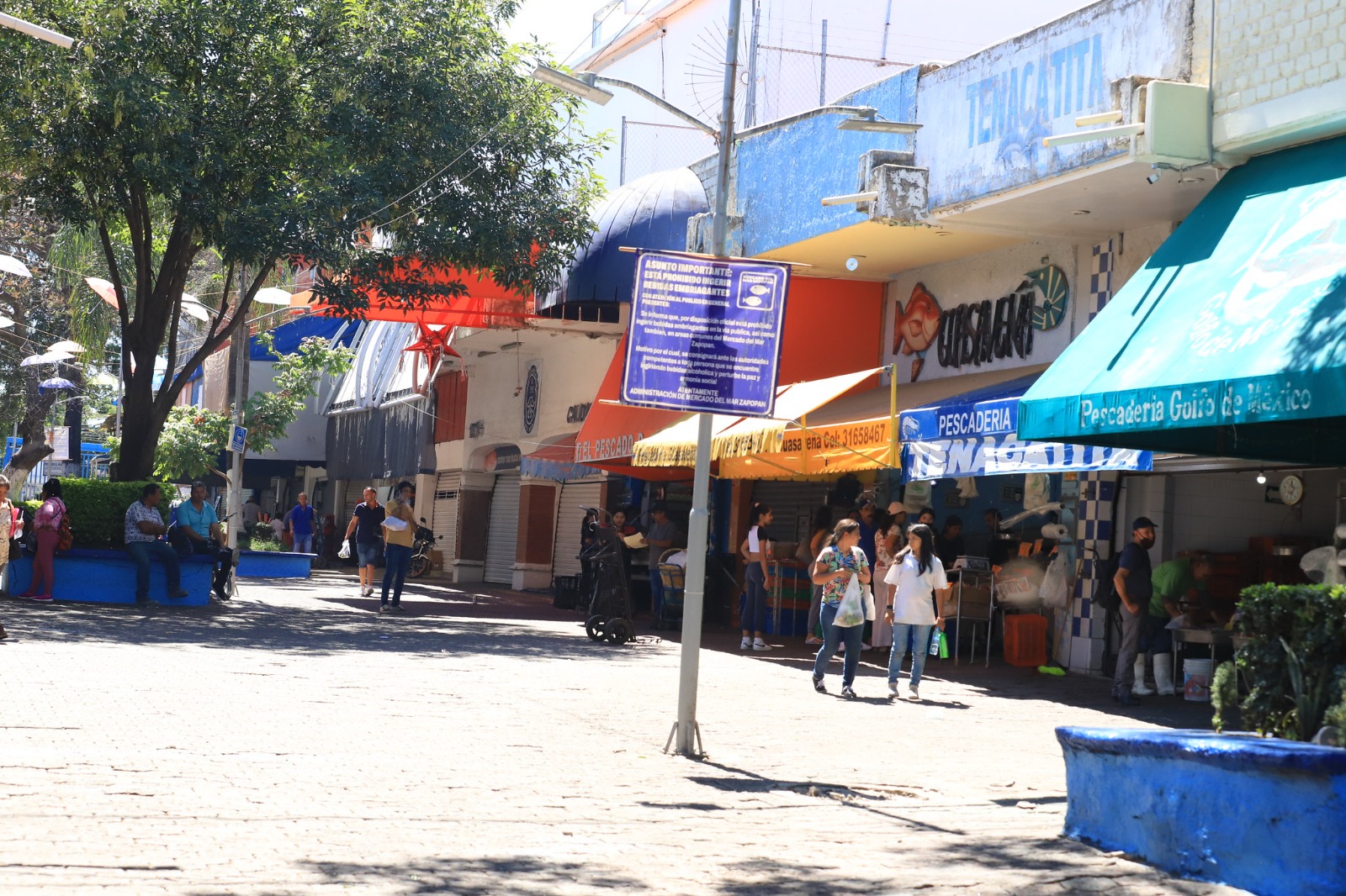 Darán manita de gato a Mercado del Mar de Zapopan