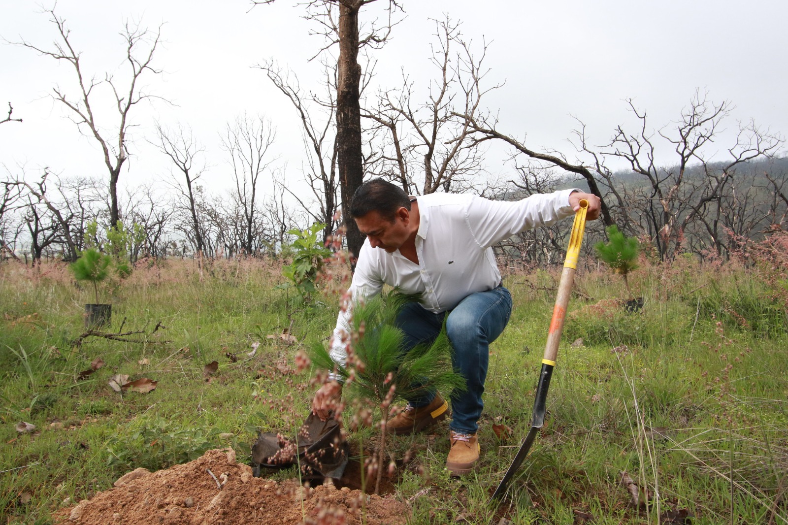 Tlajomulco anunció inversión de 1.5 mdp para reforestación