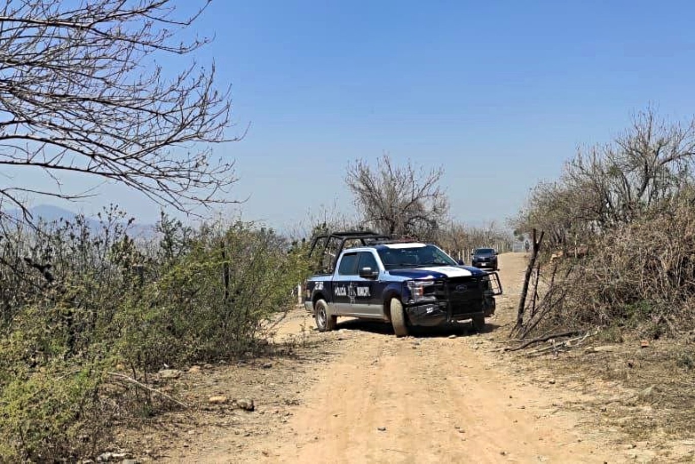 Tlajomulco logra cero incendios en Bosque de La Primavera y Cerro Viejo