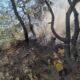 Fiscalía investiga a mujer por incendio en Bosque de La Primavera