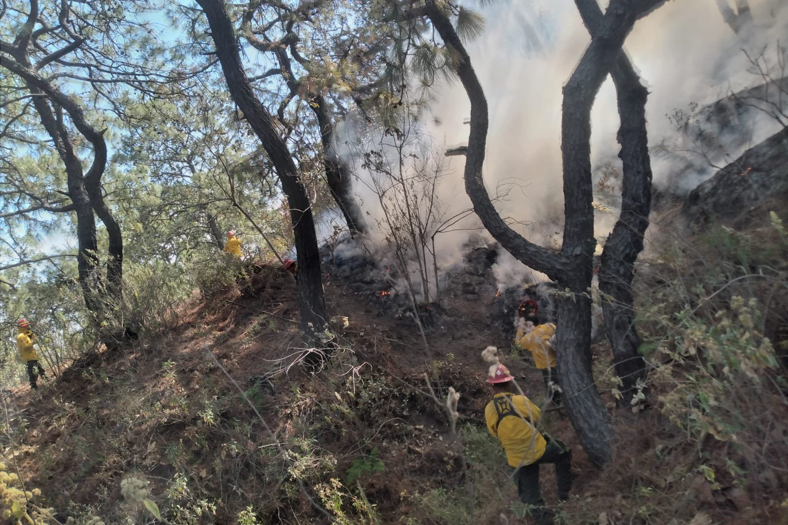 Fiscalía investiga a mujer por incendio en Bosque de La Primavera