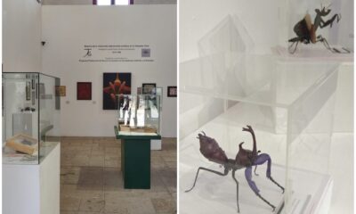Arte y biopunk en la capilla del Museo Panteón de Belén