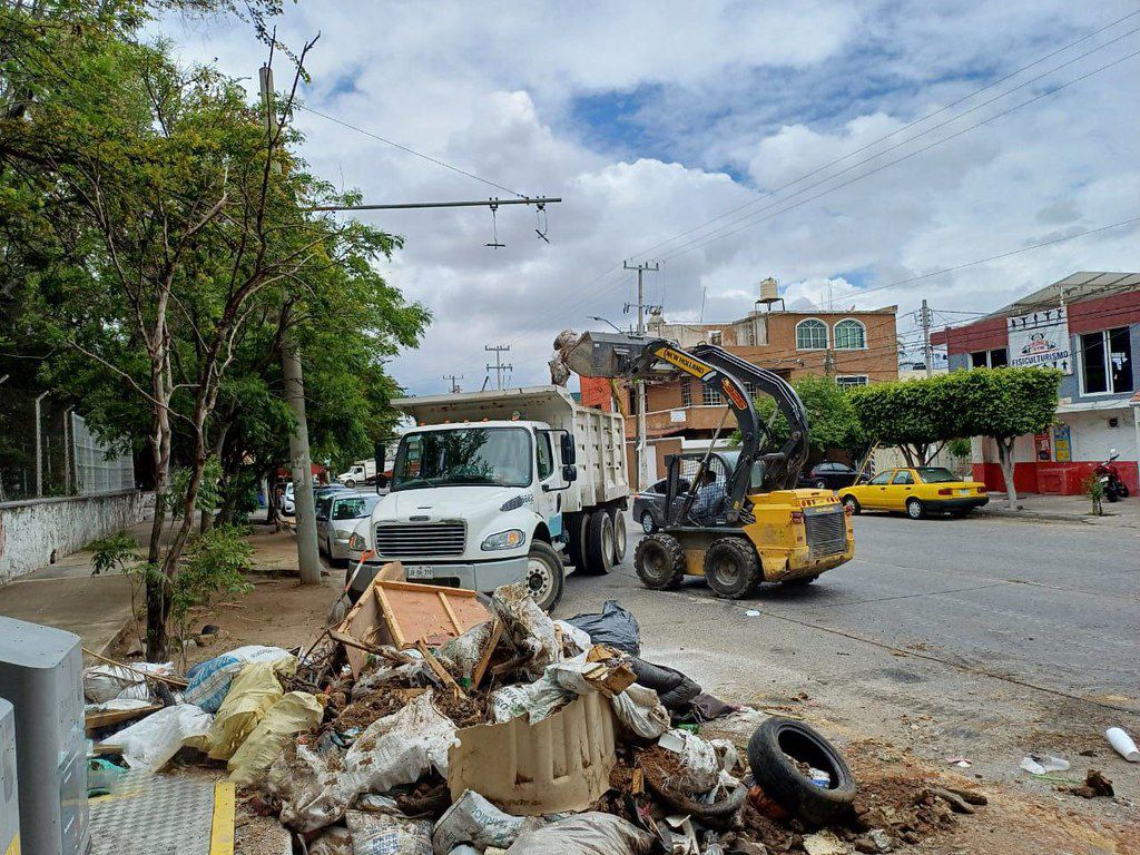 Guadalajara combate proliferación de mosquito transmisor de dengue