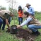 Con la jornada de reforestación de este fin de semana es que el gobierno de Tlajomulco superó los 30 mil árboles plantados