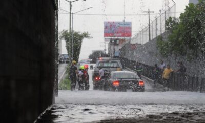 Tormenta en Guadalajara deja tres personas lesionadas y árboles caídos