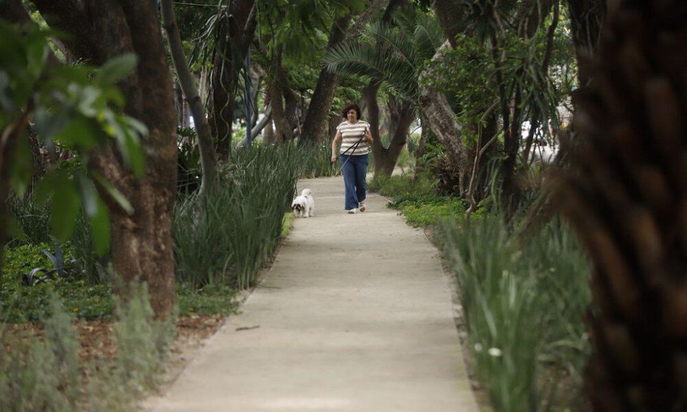 GDL entrega andador peatonal en Jardines de los Arcos