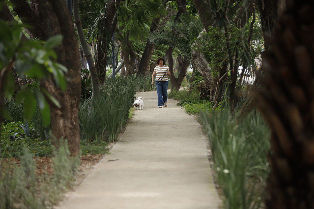 GDL entrega andador peatonal en Jardines de los Arcos