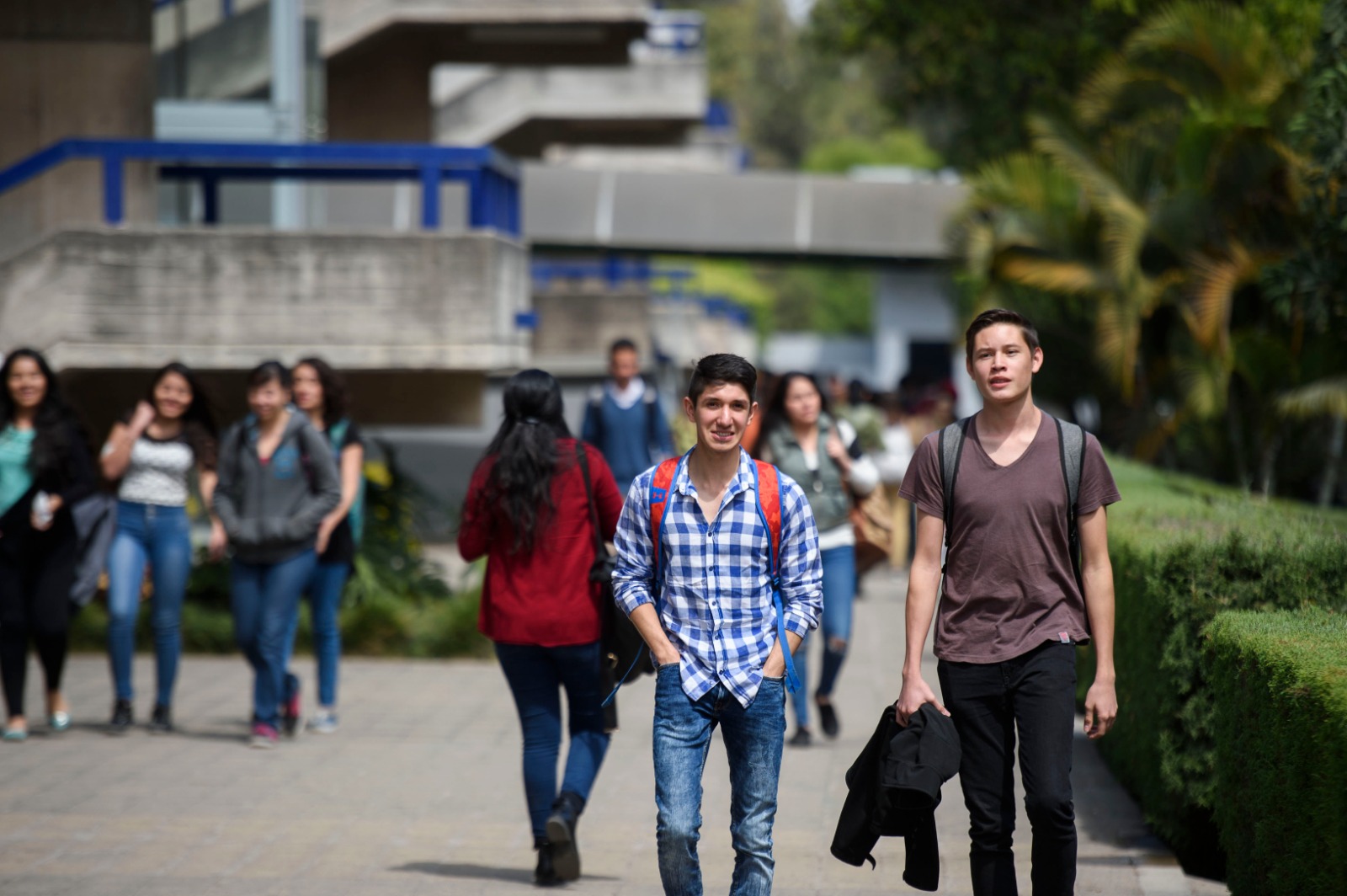 Hoy inician ciclo escolar 336 mil 455 alumnos de la UdeG