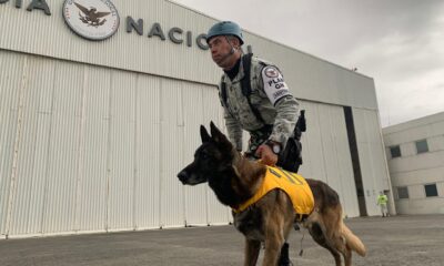 Aprueba Senado traspaso de Guardia Nacional a Sedena