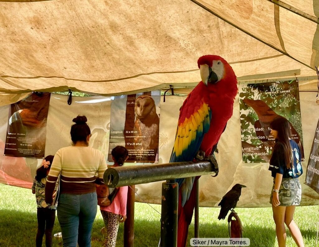 Arranca tercera Cumbre de Fauna Silvestre de Tlajomulco