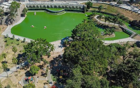 Guadalajara, ‘Ciudad Árbol del Mundo’ por quinto año consecutivo