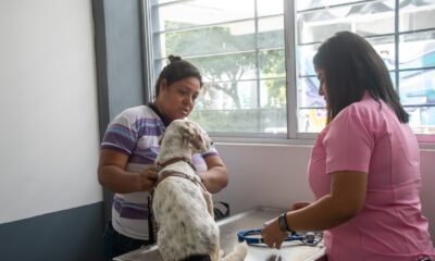 Inauguran clínica veterinaria en Tlajomulco; los servicios serán gratuitos esta semana