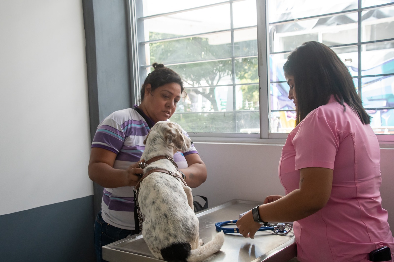 Inauguran clínica veterinaria en Tlajomulco; los servicios serán gratuitos esta semana