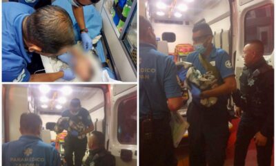 Abandonan bebé recién nacida en Zapopan, menor en estado regular