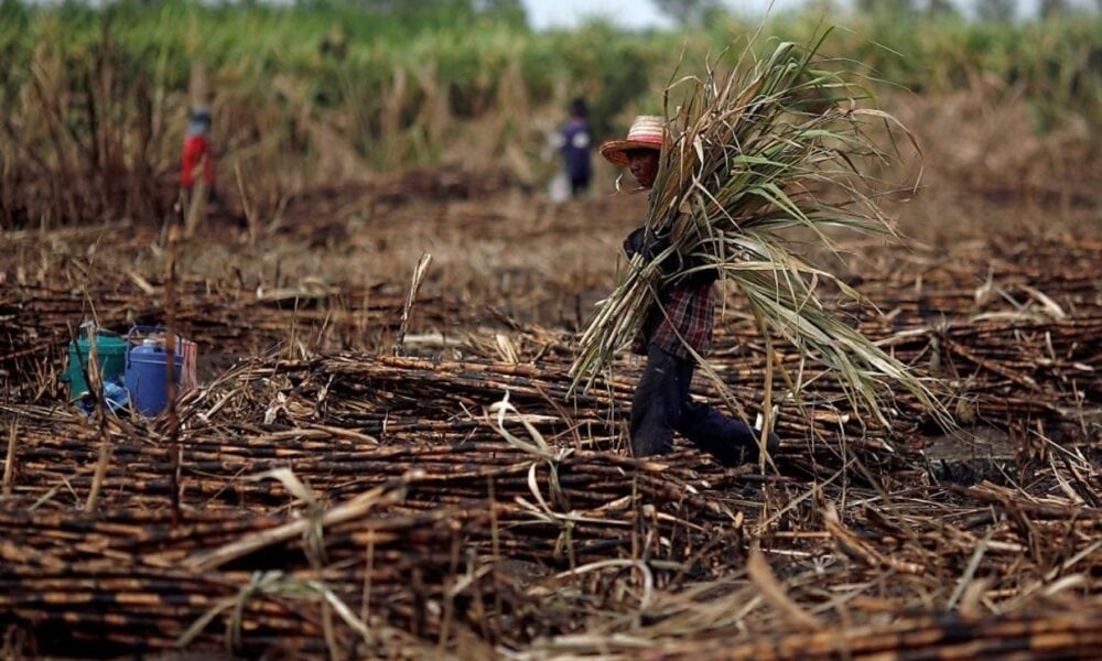 Productores de caña denuncian cobro injusto de la CFE