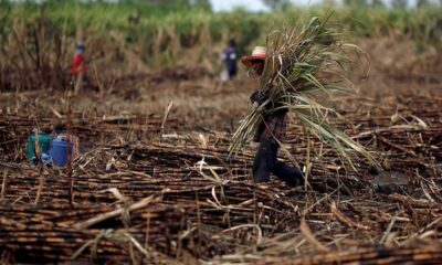 Productores de caña denuncian cobro injusto de la CFE