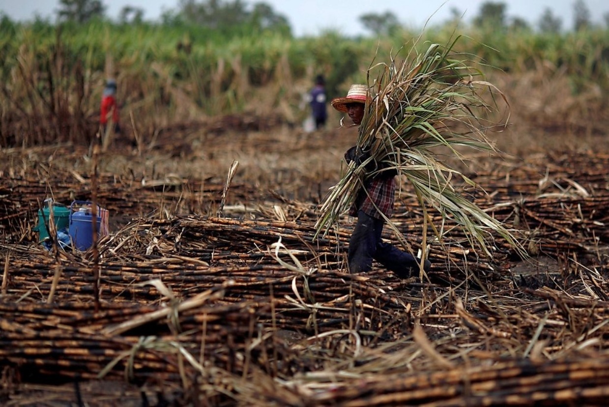 Productores de caña denuncian cobro injusto de la CFE