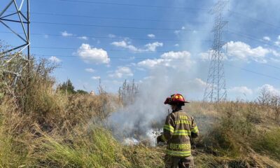 Tlajomulco prepara plan para prevenir incendios forestales