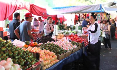 Zapopan ofrece seguro médico por accidente a comerciantes de tianguis y mercados
