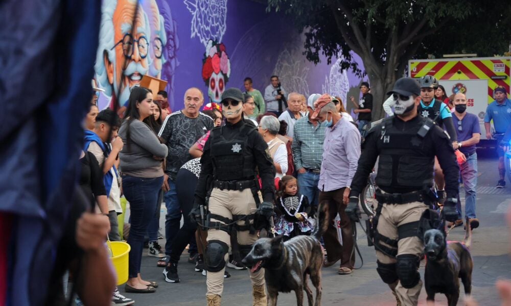 Zapopan registra saldo blanco y 247 mil visitas en panteones