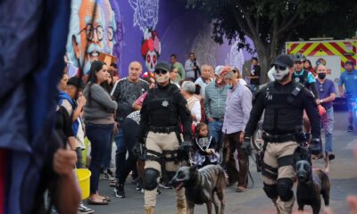 Zapopan registra saldo blanco y 247 mil visitas en panteones