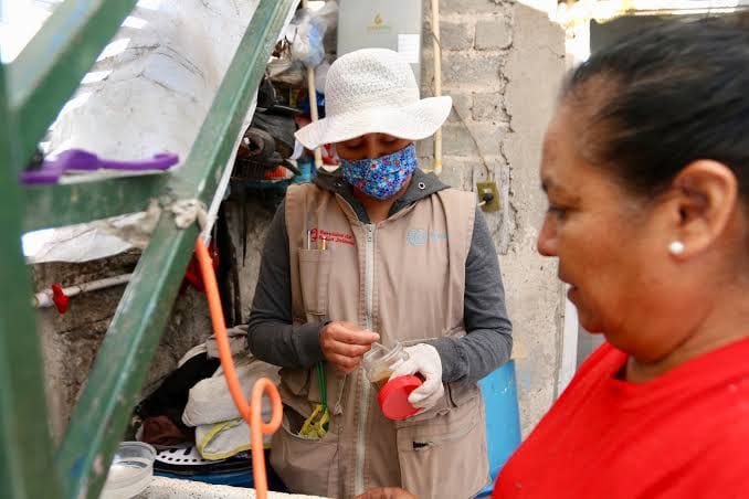 Brigadas contra el dengue continúan; hay 47 nuevos casos en Jalisco