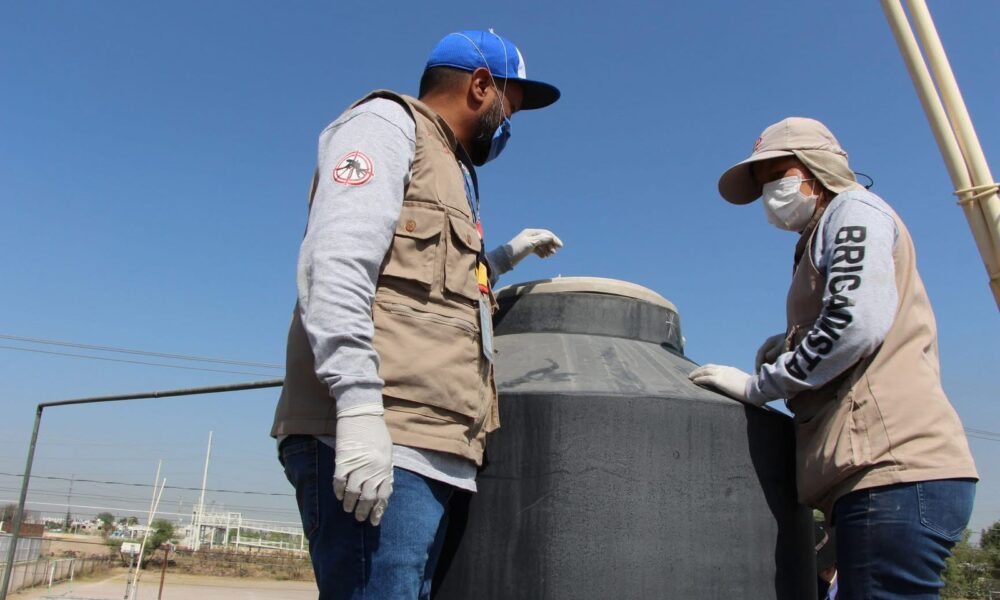 Brigadas contra el dengue continúan; hay 47 nuevos casos en Jalisco