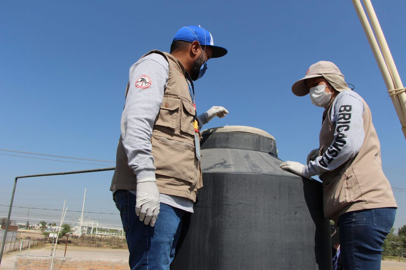 Brigadas contra el dengue continúan; hay 47 nuevos casos en Jalisco