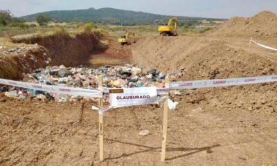 La Procuraduría Estatal de Protección al Ambiente de Jalisco (Proepa) llevó a cabo este lunes (27.01.25) una visita de inspección en el municipio de Tepatitlán de Morelos. 