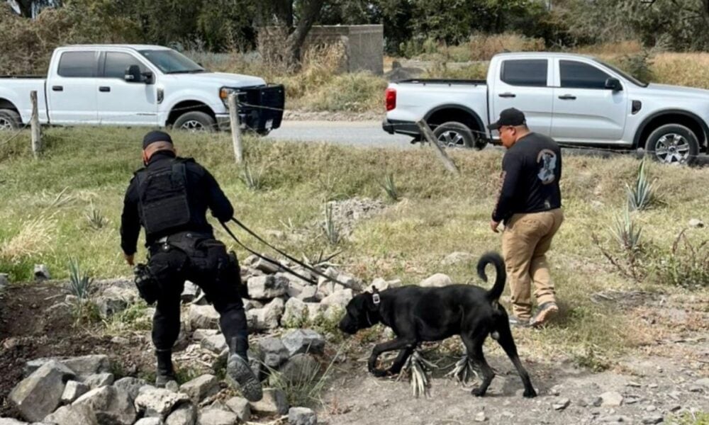 Recuperan 24 cuerpos en Lomas del Refugio, Zapopan