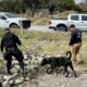 Recuperan 24 cuerpos en Lomas del Refugio, Zapopan