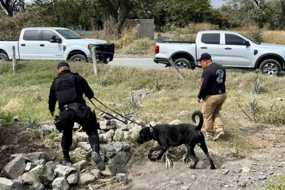 Recuperan 24 cuerpos en Lomas del Refugio, Zapopan