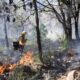 Zapopan realiza quemas controladas para prevenir incendios forestales