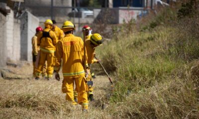 Bomberos de Guadalajara arrancan labores preventivas ante estiaje
