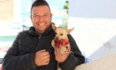¿Quieres esterilizar a tu lomito? ¡Tlaquepaque ofrece servicio GRATUITO!